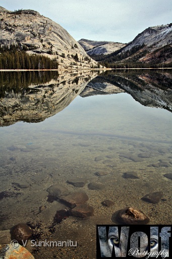 Reflections Yosemite 004 Copyright Villayat Sunkmanitu.jpg